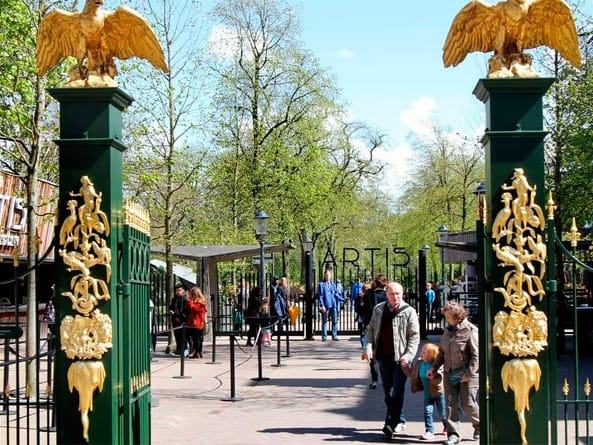 阿姆斯特丹動物園| ©Charlotte de Vries