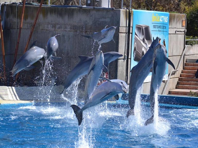 马德里动物园水族馆| ©Daniel