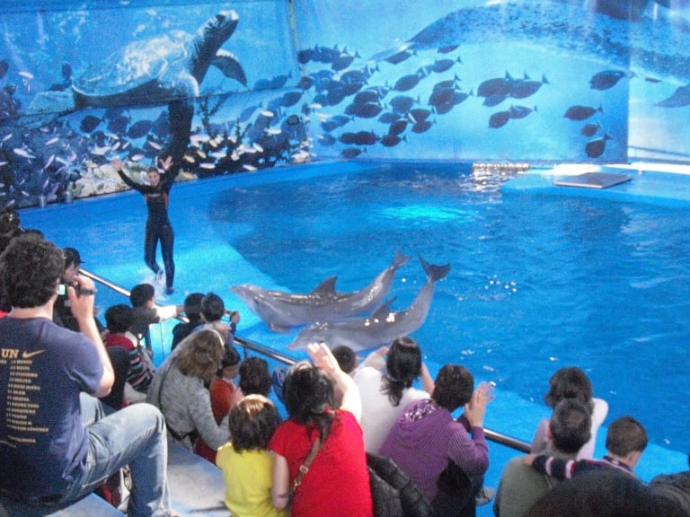 海豚水族館| ©Oh-Barcelona.com