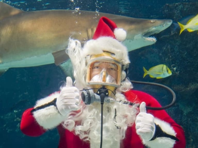 水底聖誕老人| ©Scuba