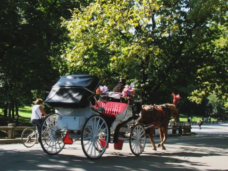 午後乘坐馬車| ©Mary Fundy