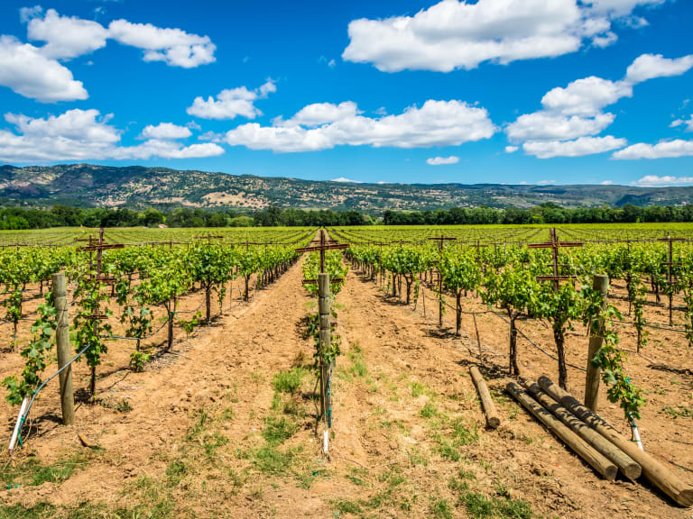 Napa Valley| ©James Faulkner