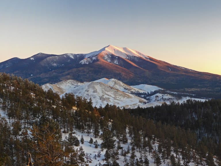 冬季舊金山的山| ©Bosque Nacional 