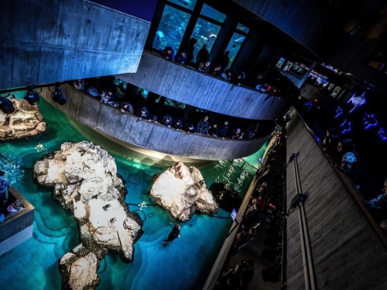 Inside the Aquarium| ©Tom Berrigan