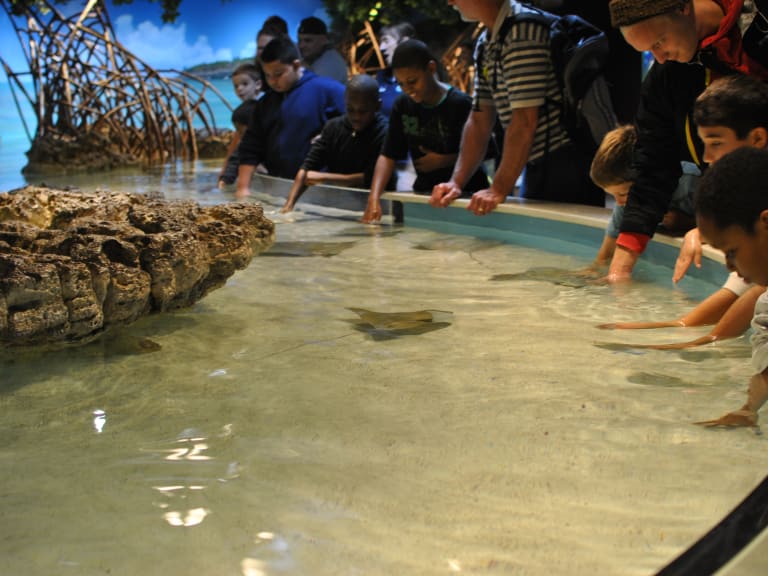 Guide and Children at the Museum| ©angela n.