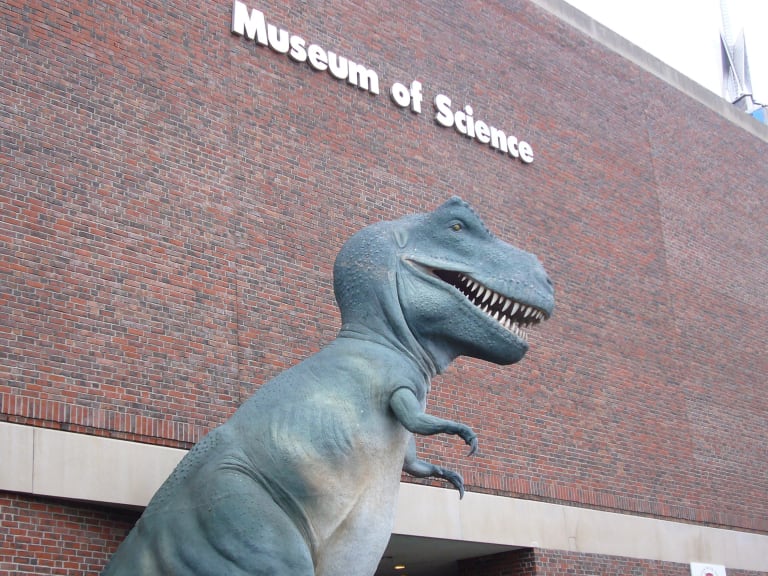 Dinosaurs at the Science Museum| ©Bogdan Tapu