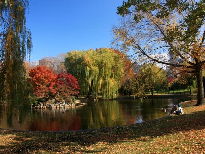 秋日波士頓公共花園| ©Bill Ilott