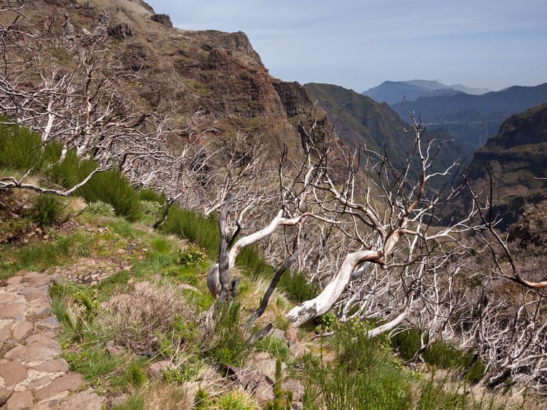 The trail between Pico Ruivo and Pico do Arieiro| ©unukorno
