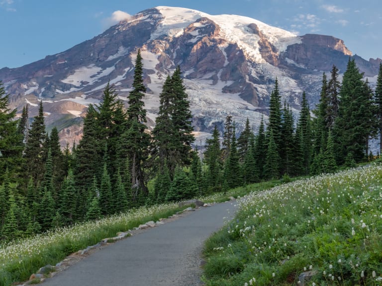 Harika Rainier Dağı| ©Jeff Miller
