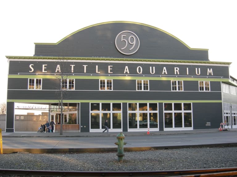 Akwarium w Seattle| ©Joe Mabel