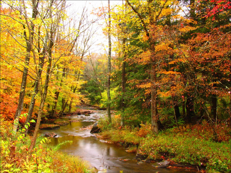 Jesienny splendor| ©Mark K.