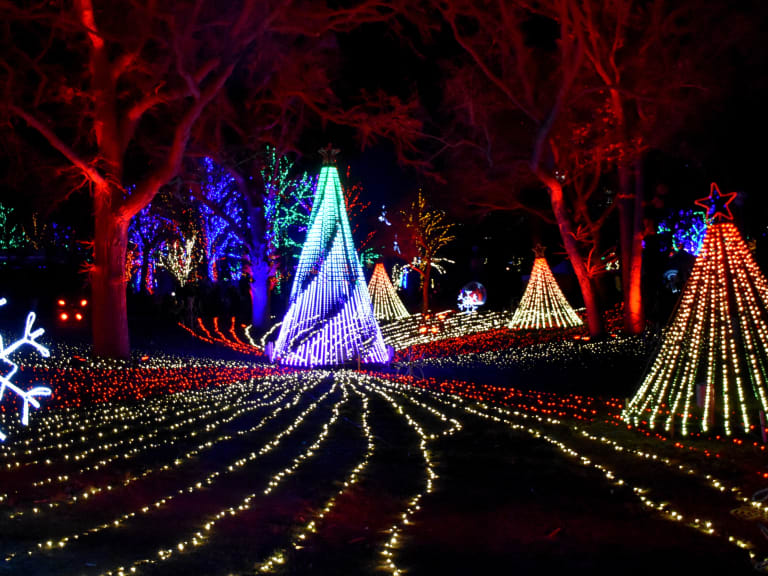 Zoolights at the Zoo| ©Robby Gragg