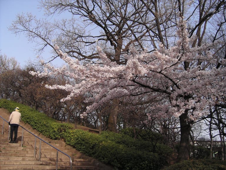 Hanegi-Park| ©mokomoko663