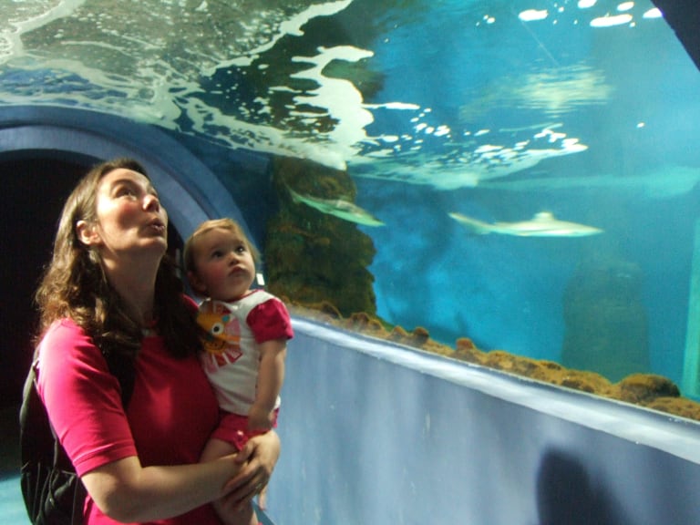 蘭薩羅特島水族館| ©Henry Burrows
