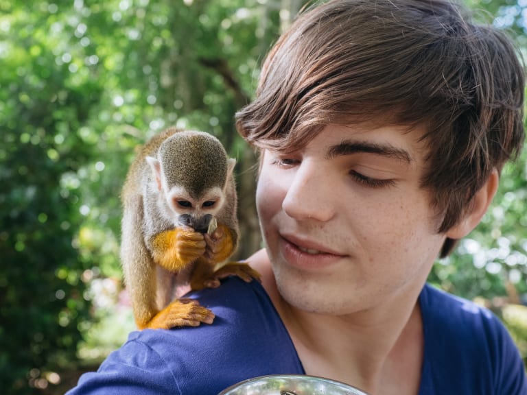 在 Monkeyland| ©flickrized