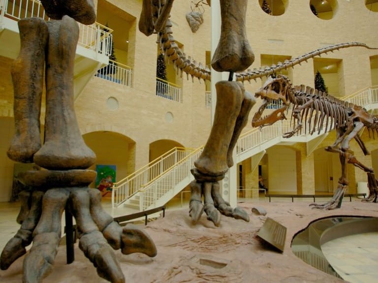 Natural History Museum| ©Joa Librano