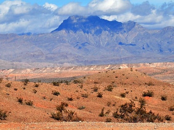 view of the desert| ©Notorious B.I.Z.