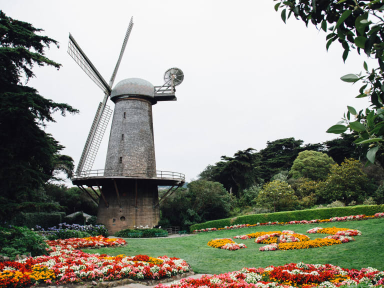 Golden Gate Park| ©Kyle Glenn