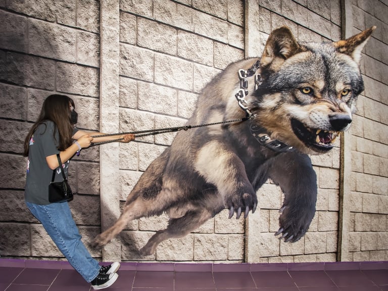3D-Museum der Illusionen| ©ELG21