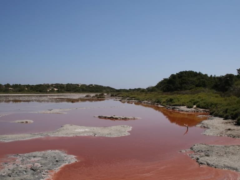 Mud lagoon in Ibiza| ©Daniel Mac Alister