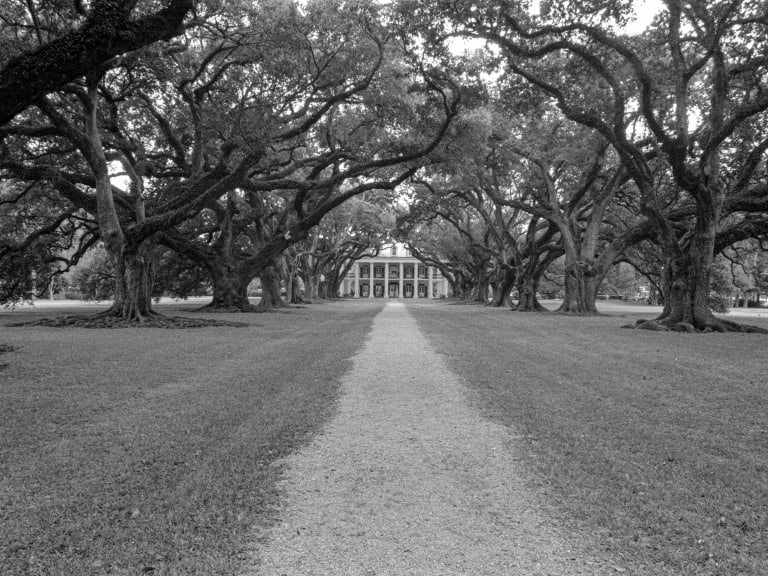 Plantage Oak Alley| ©Mick Haupt