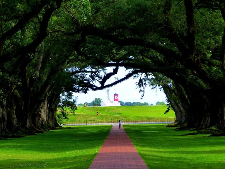 Plantagen Oak Alley| ©RENE RAUSCHENBERGER