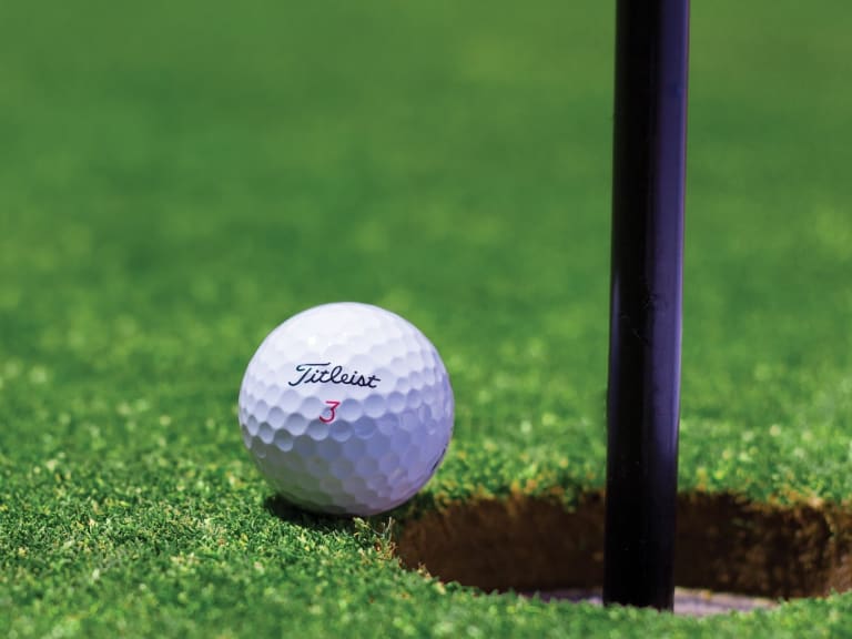 piłeczka golfowa na polu| © Steven Shircliff 