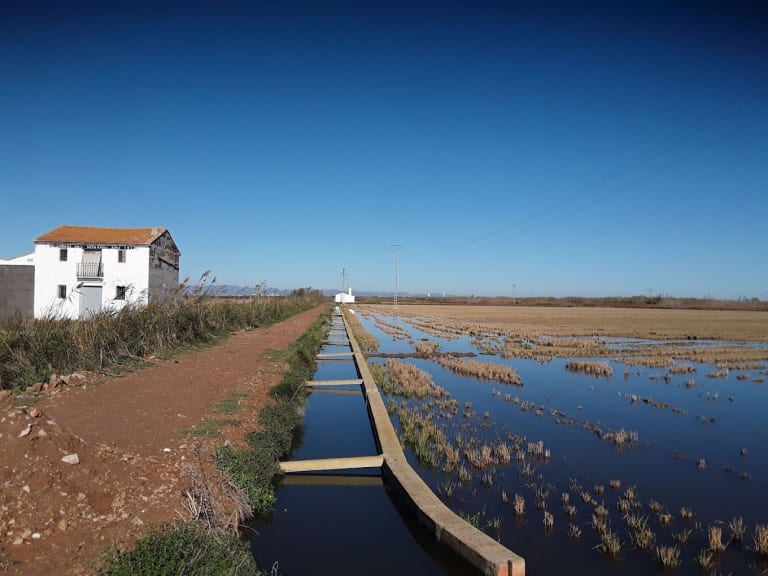 Albufera Park| ©Javier Alvero Casique