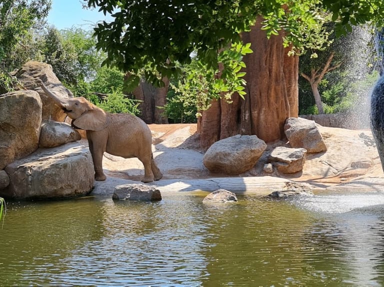 BIOPARC| ©Yaisa GS