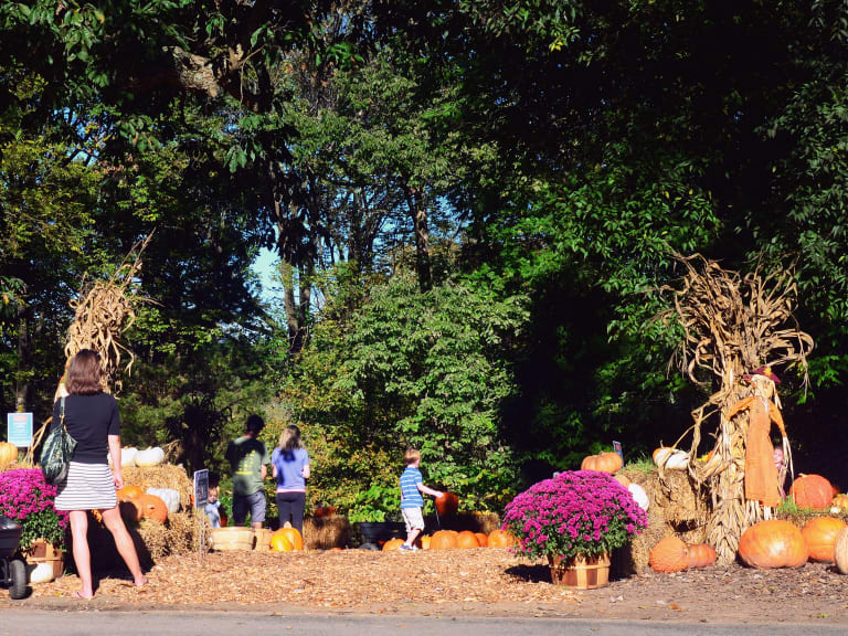 契克伍德花園| ©Citizen of Two Worlds