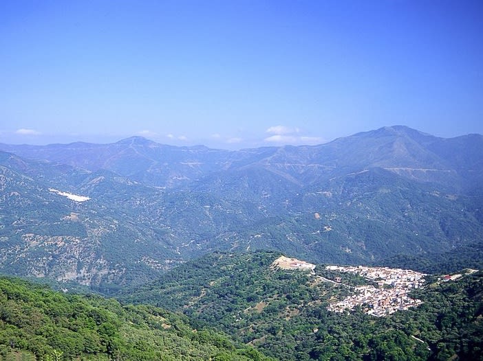 Los Reales de Sierra Bermeja 自然公園| ©Turismo de Andalucía