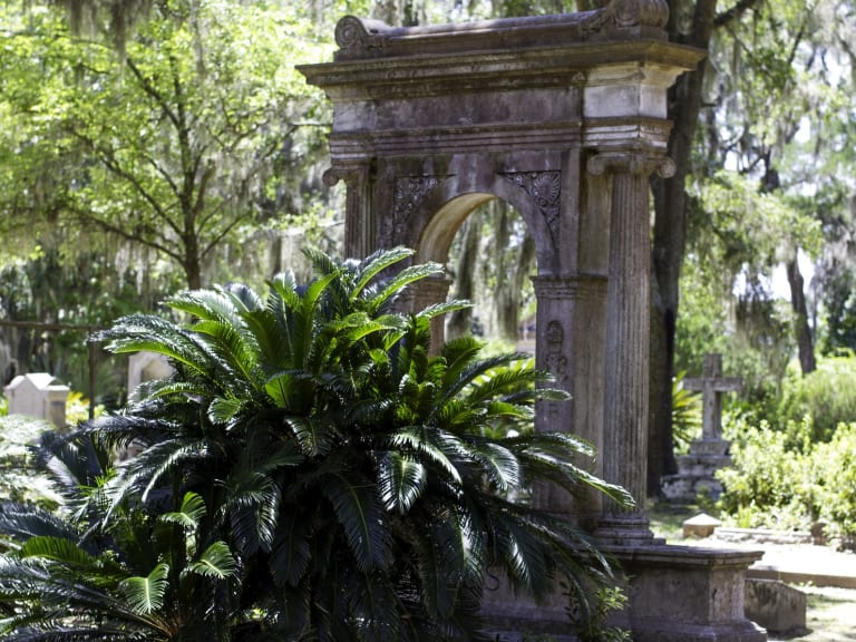 Savannahs Friedhof|©Spike Stitch