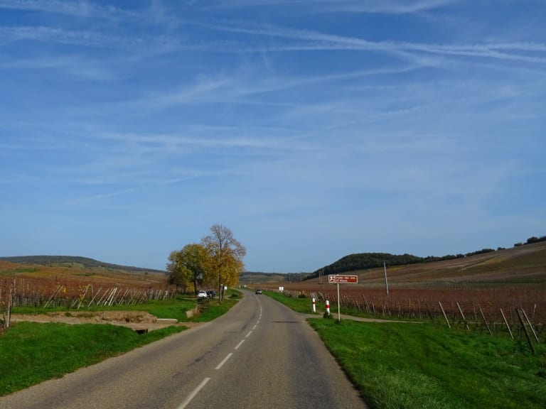 Alsace wine route| ©Olive Titus