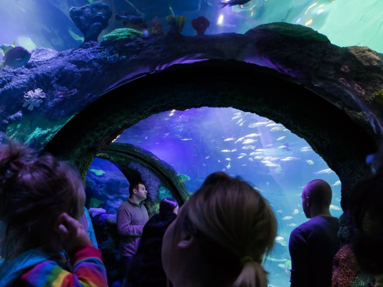 水族館|©Courtney Carson