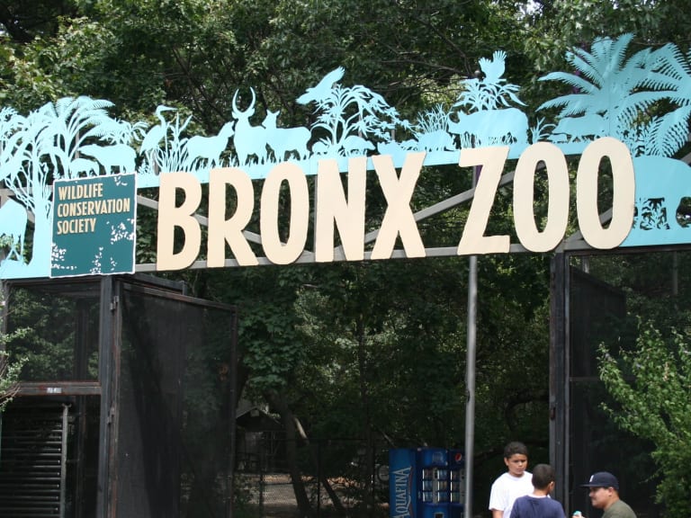 bronx zoo|©Agnese Muco