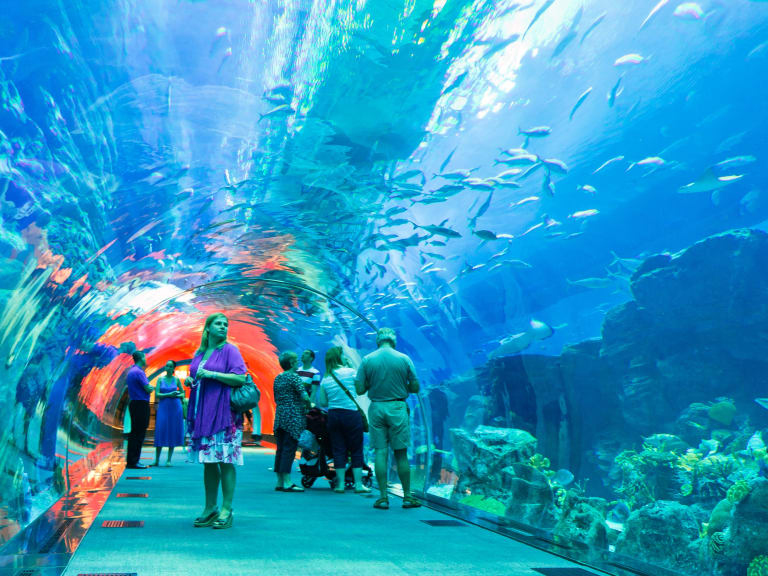 迪拜水族館| ©Rooroor´s