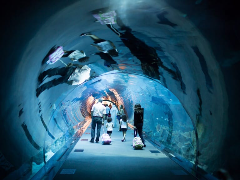 水族館隧道| ©Petteri Järvinen