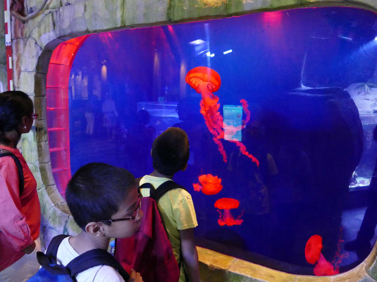 水族館的兒童| ©Ankur Panchbudhe