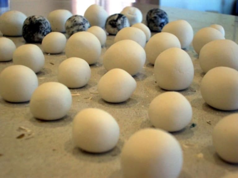 Tangyuan| ©Alpha