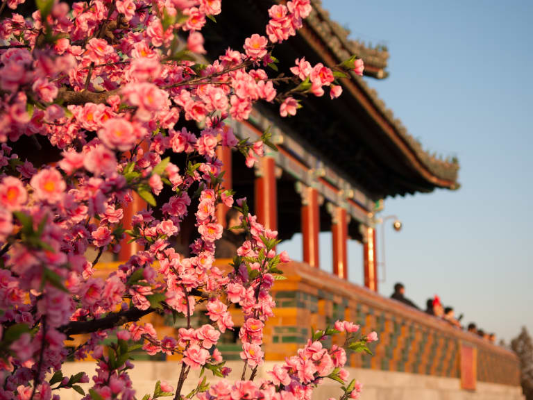 景山公園| ©vincentraal