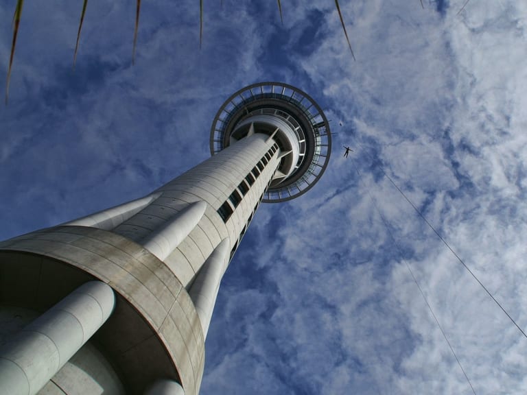 Auckland Tower|©Mark Miller