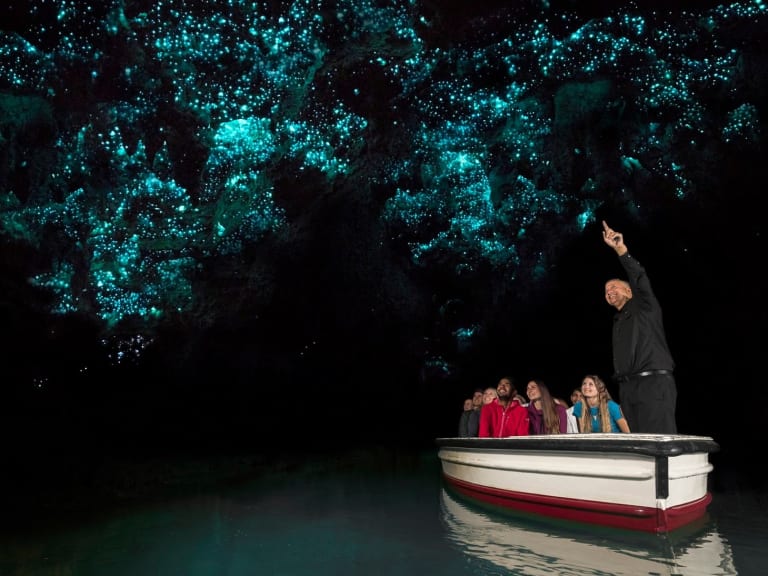 Waitomo Caves|©Jhon Apolaya