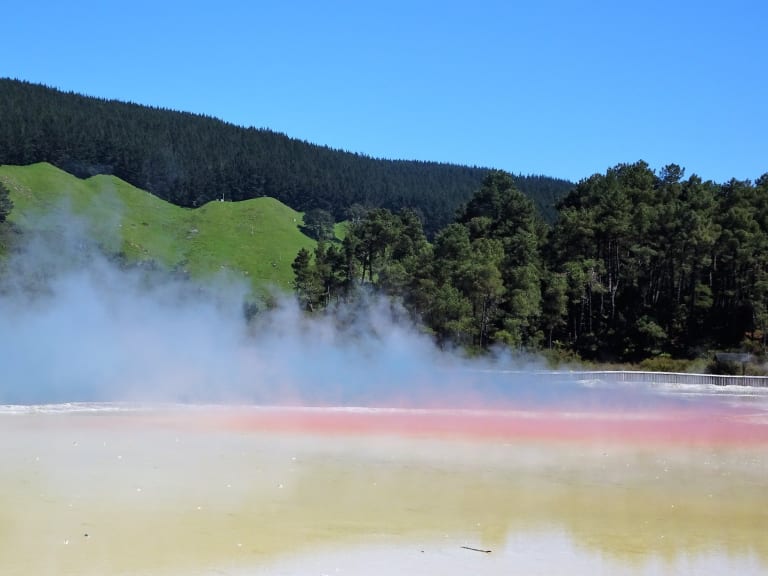 Area di Rotorua|©denisbin