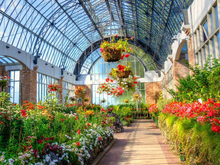 奧克蘭領域冬季花園|©Barry Peck