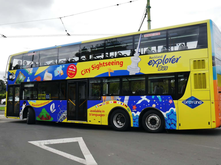 Esploratore di Auckland|©James Peter