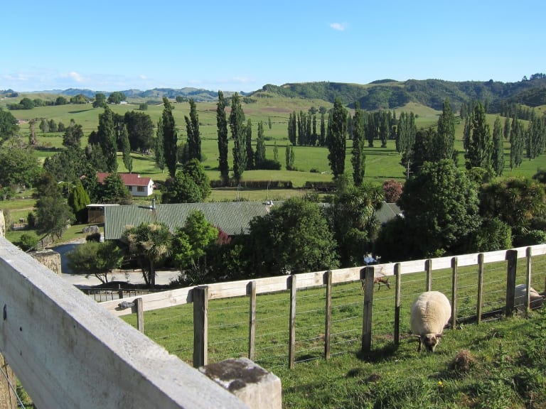 Campagna di Waitomo|©UCFFool