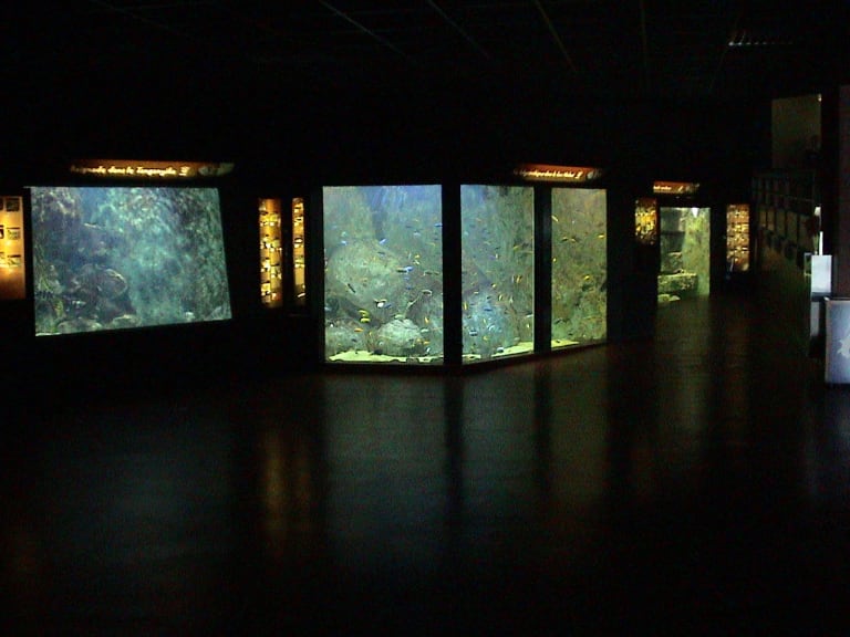 Lyon Aquarium| ©David L