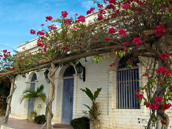 Casa in Todos Santos, BCS, Mex.|©Sandra