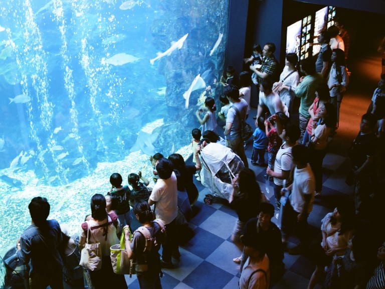 京都水族館| ©mg sn