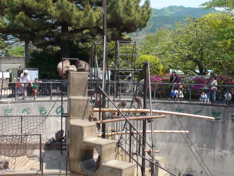 京都動物園| ©JapanVisitor